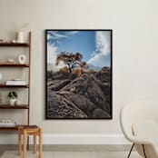 "The Magic Tree" - Art Print in Sky Blue by Christian Florin - In a Room