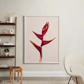 "heliconia 3" - Art Print in Heliconia by Kamala Nahas - In a Room