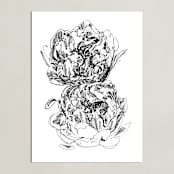 "Two Peonies" - Art Print in Noir by IMG_101 - Unframed