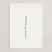 "Twig- Solitude 03" - Art Print in Light Grey by jinseikou - Unframed