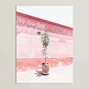 "Shades of Solitude" - Art Print in Blush by LindseyErin - Unframed