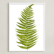 "Grass Green Watercolor Fern Leaf" - Art Print in Grass Green by Helga Wigandt - Framed
