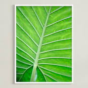"Color Palette ll" - Art Print in balmy green by Debra Pruskowski - Framed