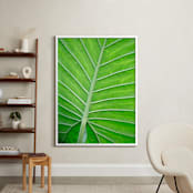 "Color Palette ll" - Art Print in balmy green by Debra Pruskowski - In a Room