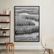 "Marshlands 1" - Art Print in Black & White by Elizabeth Pyle - In a Room