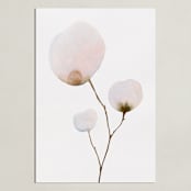 "Mokuren03" - Art Print in Pale Pink by jinseikou - Unframed