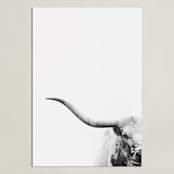 "Brandir" - Art Print in Charcoal by Amy Carroll - Unframed