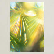 "Palm Fronds" - Art Print in Palm green by Tommy Kwak - Unframed