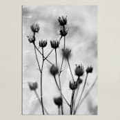 "Autumn detail" - Art Print in Fog by Magdalena Kucova - Unframed