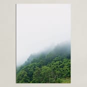 "Foggy mountain" - Art Print in fern by Aniko Levai - Unframed