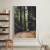 "Walk Into the Woods" - Art Print in Forest Brown by Bente Jorgensen-Barajas - In a Room