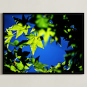 "It's a Beautiful Day" - Art Print in leafy green by Catherine Culvenor - Framed