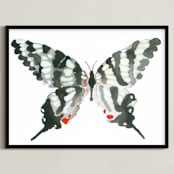 "Zebra Swallowtail" - Art Print in ebony by Betty Hatchett - Framed