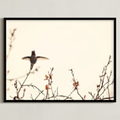 "Landing on Branches." - Art Print in Cream and Rust by Jennifer Alexander - Framed