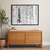"Colorado Winter Pine" - Art Print in Black and White by Jake Belvin - In a Room