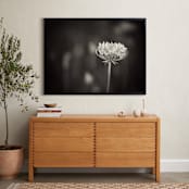 "Lace Bloom" - Art Print in Black and White by Sara Heilwagen - In a Room