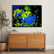 "It's a Beautiful Day" - Art Print in leafy green by Catherine Culvenor - In a Room