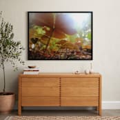"Lost in the Redwoods" - Art Print in Red Clover by Kate Binns - In a Room