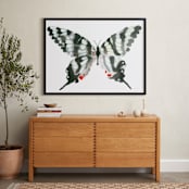 "Zebra Swallowtail" - Art Print in ebony by Betty Hatchett - In a Room
