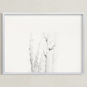 "Birch in Chappaquiddick" - Art Print in Birch Grey by jinseikou - Framed
