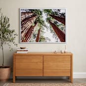 "Soaring Sequoias" - Art Print in Sequoia Green by Matthew Sampson - In a Room