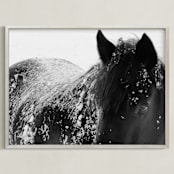 "A Shadow In A Storm" - Art Print in Black and White by Leslie Le Coq - Framed