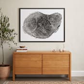 "Tree Rings pt. 1" - Art Print in Black by Mackenzie Darrach - In a Room