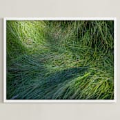 "A Deer Slept Here." - Art Print in Grass by DENiSE CREW. - Framed