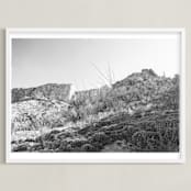 "In The Canyon" - Art Print in Grey by Joseph Weber - Framed