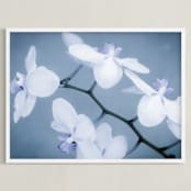 "Orchids In Flight" - Art Print in Violet Blue by Debra Butler - Framed
