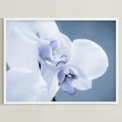 "Orchid Beauty" - Art Print in Violet Blue by Debra Butler - Framed