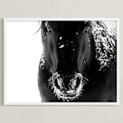 "Frost Bite" - Art Print in Black and White by Leslie Le Coq - Framed