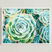 "Morning Succulent" - Art Print in Aqua by Debra Butler - Framed