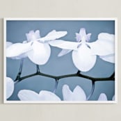 "Orchid Wings" - Art Print in violet by Debra Butler - Framed