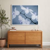 "Orchids In Flight" - Art Print in Violet Blue by Debra Butler - In a Room