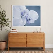"Orchid Beauty" - Art Print in Violet Blue by Debra Butler - In a Room