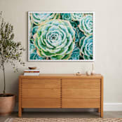 "Morning Succulent" - Art Print in Aqua by Debra Butler - In a Room