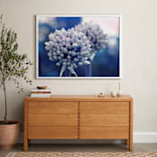 "Allium in Indigo" - Art Print in Indigo by Karen Kaul - In a Room