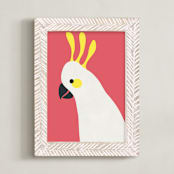 "Hello Cocky! " - Art Print in Coral by Catherine Culvenor - Framed
