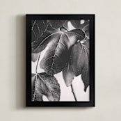 "Gather & Gaze" - Art Print in Matte Black by Alicia Youngken - Framed