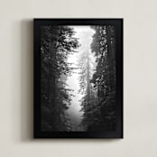 "Redwood Morning" - Art Print in Black & Whtie by Kamala Nahas - Framed