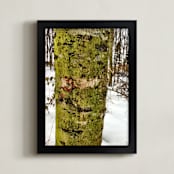 "Winter Green" - Art Print in Green by Misty Hughes - Framed