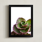 "succulents close up series" - Art Print in Desert green by Jill Pauli - Framed