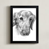 "DogFace" - Art Print in soft grey by Alaine Ball - Framed