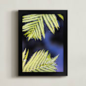 "Ferns and Water" - Art Print in Fern Green by Ilze Lucero - Framed
