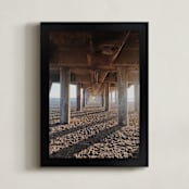 "HB Pier" - Art Print in Sunset Gold by Christian Florin - Framed