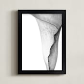 "Calla Lily in Black & White" - Art Print in Black and White by Kate Dailey - Framed
