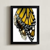 "New Morning" - Art Print in Monarch orange by Janie Allen - Framed