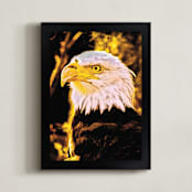 "Bald Eagle, Golden Hour" - Art Print in Eagle Eye Yellow by Mariecor Agravante - Framed