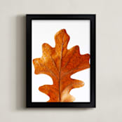 "Oak Leaf" - Art Print in rustic orange by Alexis Arnold - Framed
